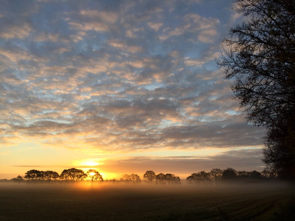 Denmark landscape natural