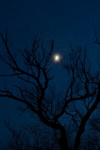Evening light moonlight night picture photo