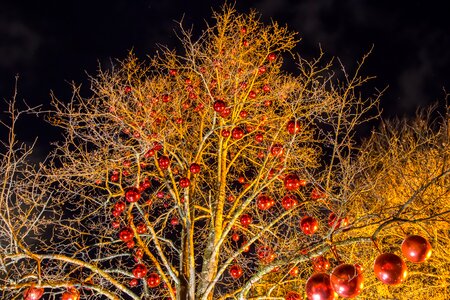 Christmas decoration christmas balls advent photo