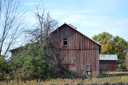Weathered barn wood rustic photo