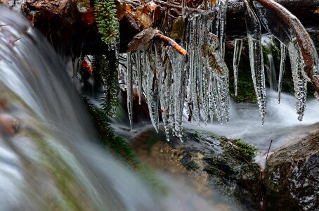 Winter ice winter creek photo
