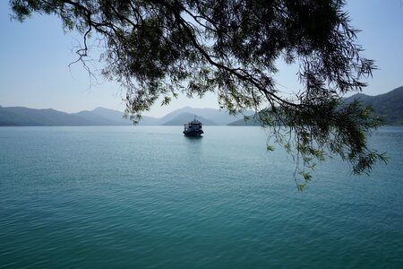 Sea nature