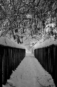 Photography picture nature