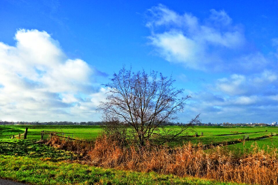 Country farmland polder
