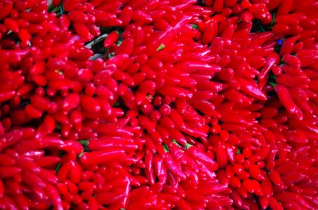 Pálivá paprika vegetables