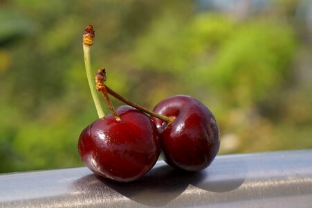 Food the cherry australia nine dream