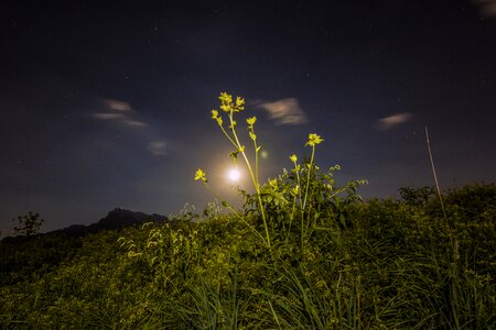 Moonlight lighting clouds veil photo