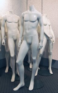 Male masculine female