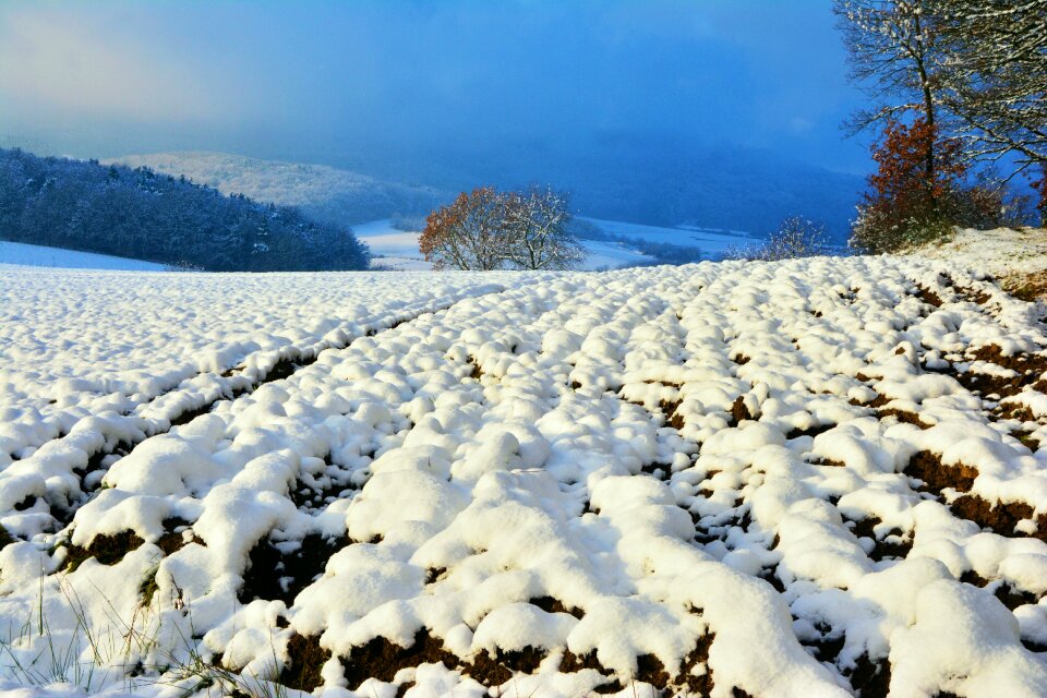 Ackerfurchen snowy forest
