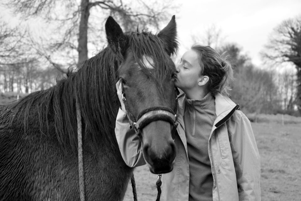 Complicity domestic animal tenderness affection