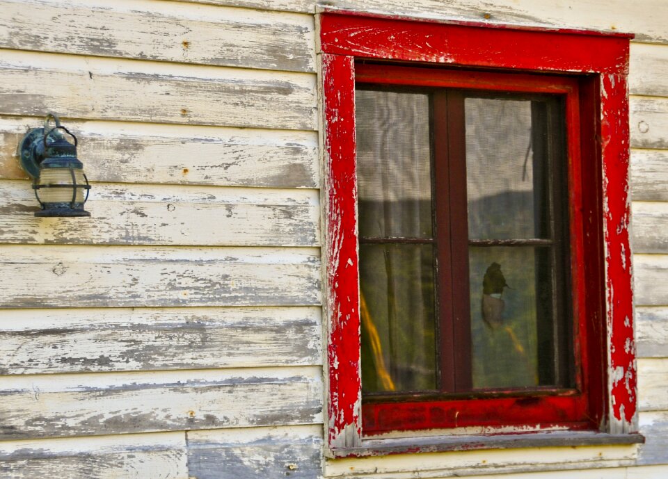 Abandoned rustic adirondack