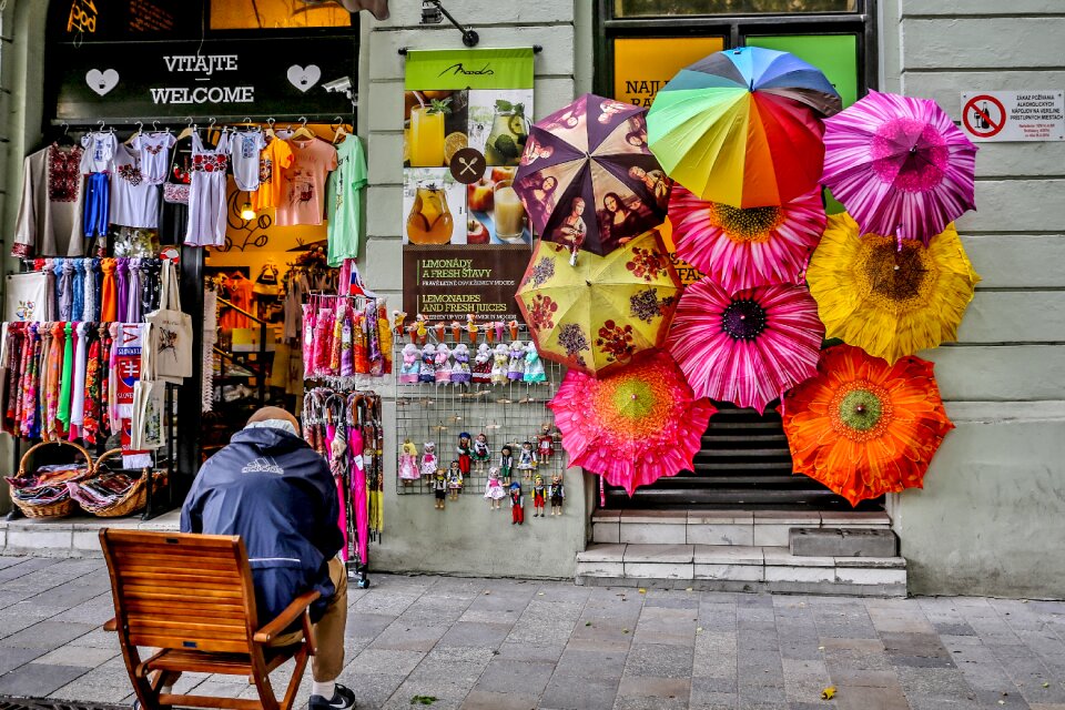 Flower tourist street photo