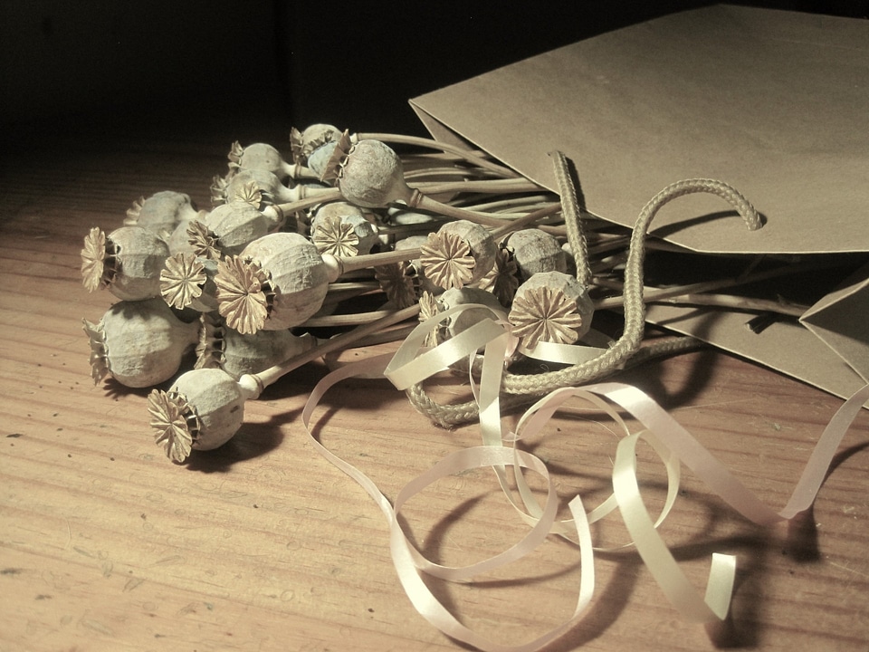 Dry bleached paper packet