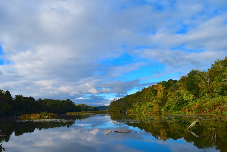 Nature water forest photo