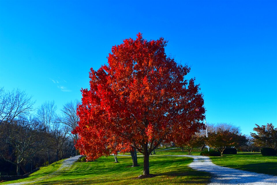 Autumn fall season