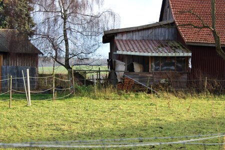 Horse head shelter horse stable photo