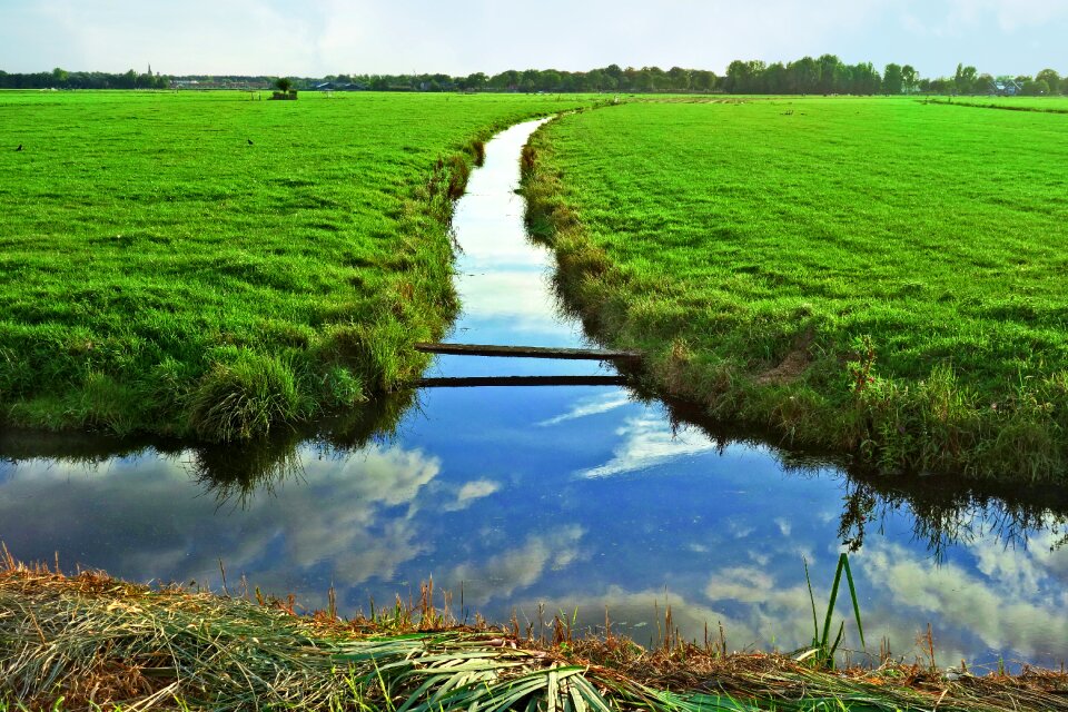 Rural farmland polder