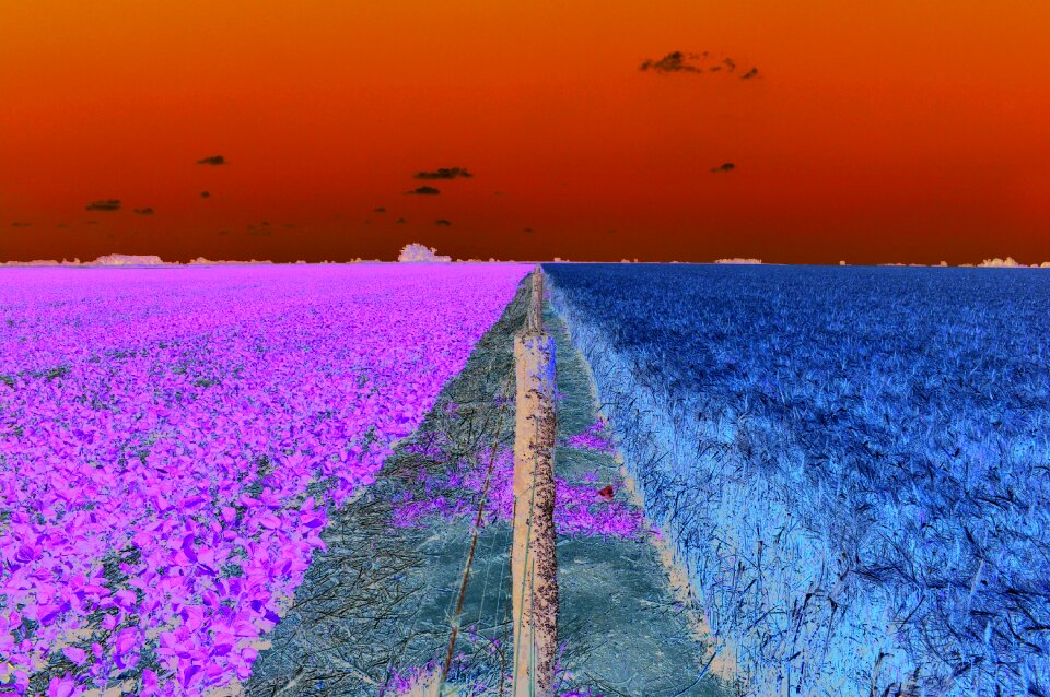 Harvest agriculture