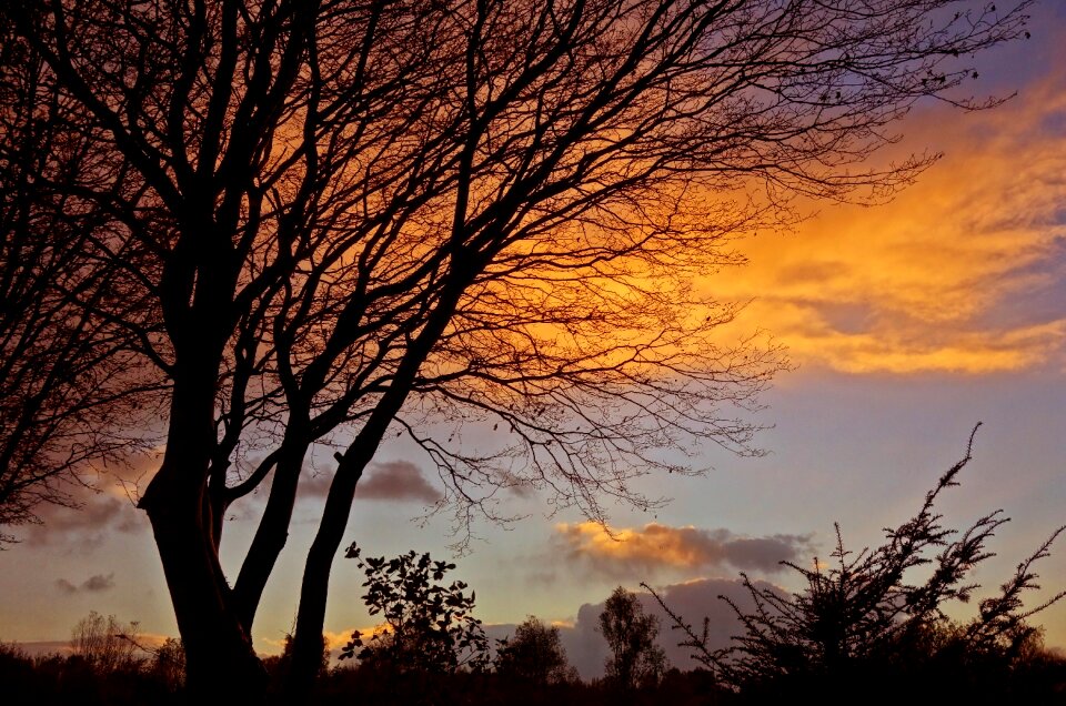 Golden glow twilight dusk photo