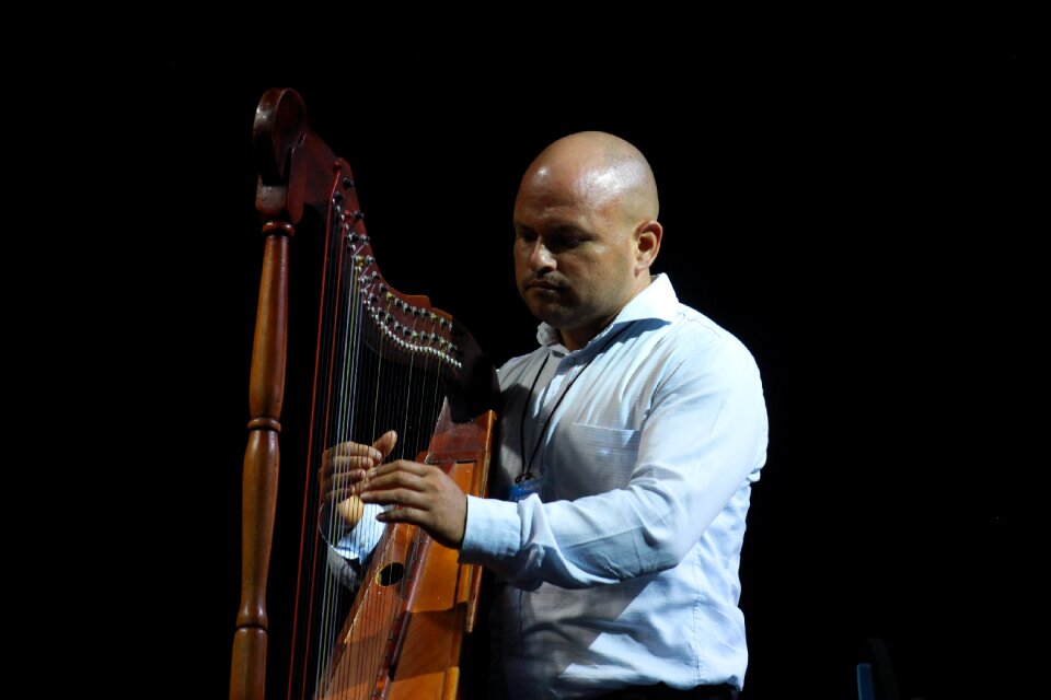 Instrument sound musician
