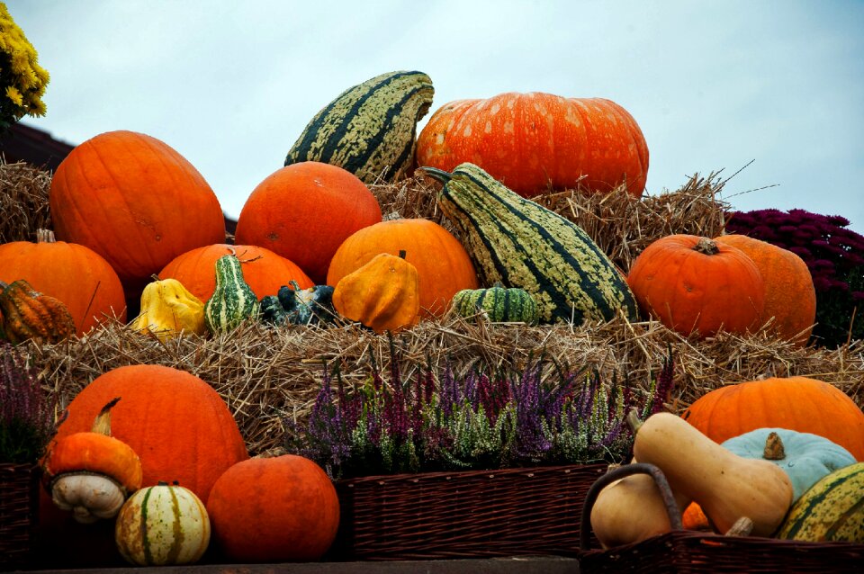 A vegetable vegetables ornament