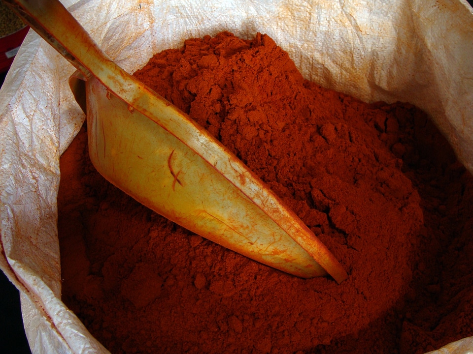 Spicy spices foods photo