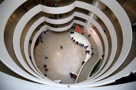 Museum new york tourism