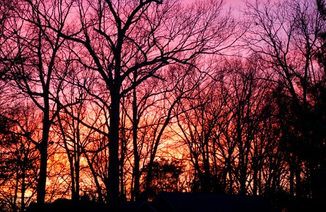 Evening colorful pink