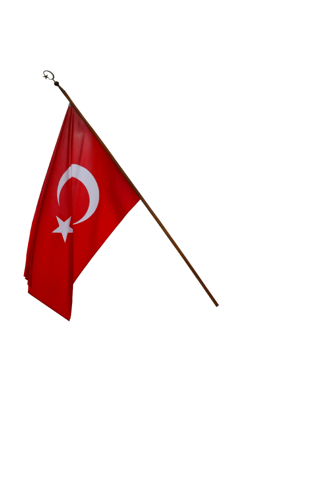 Flag moon and star turkish