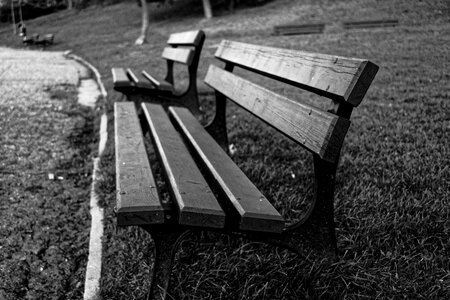 Outdoor seat nature