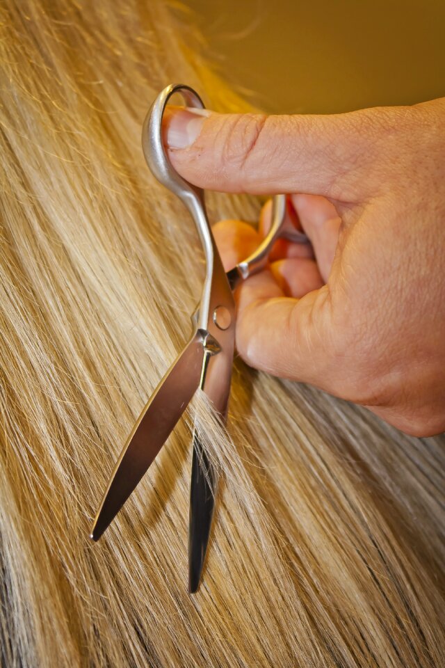 Salon hairdresser hairstyle