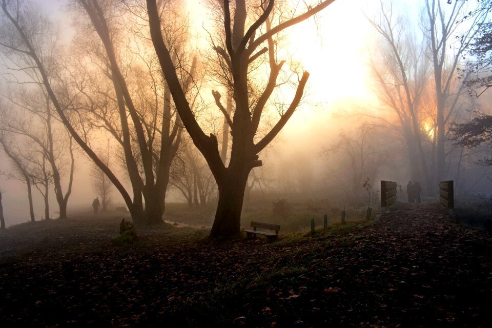 Light nature backlight