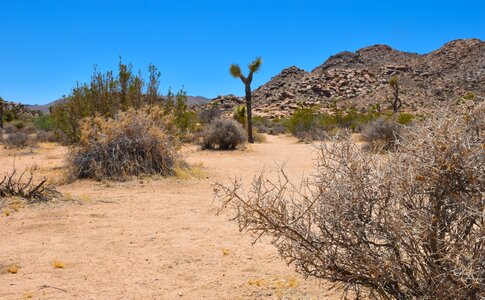 Arid dry california photo
