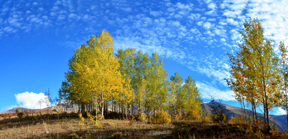 Beautiful outdoor landscape