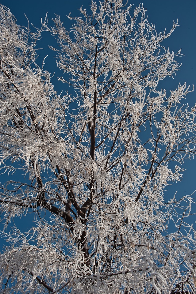 Nature season beautiful