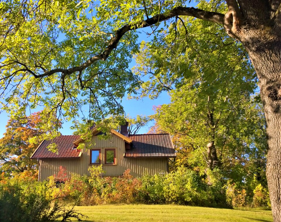 Autumn landscapes villa