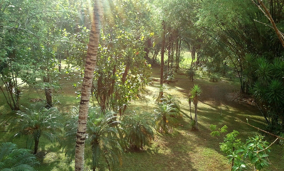 Landscape scenery natural