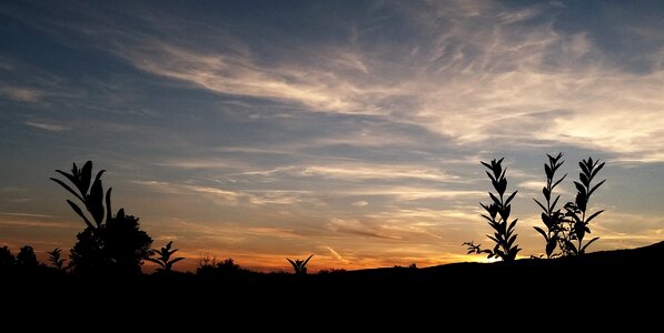 Nightfall nature mood
