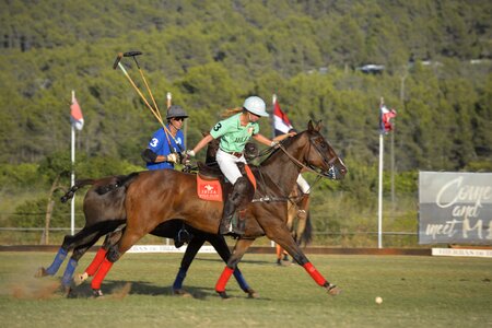 Polo sport gallop horses running photo