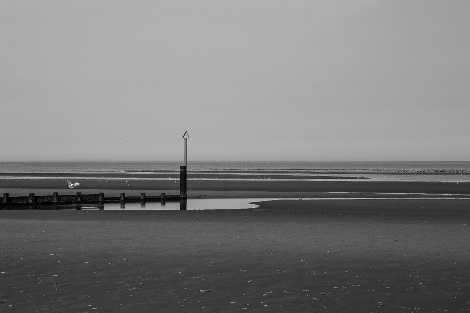 Landscape shore seascape