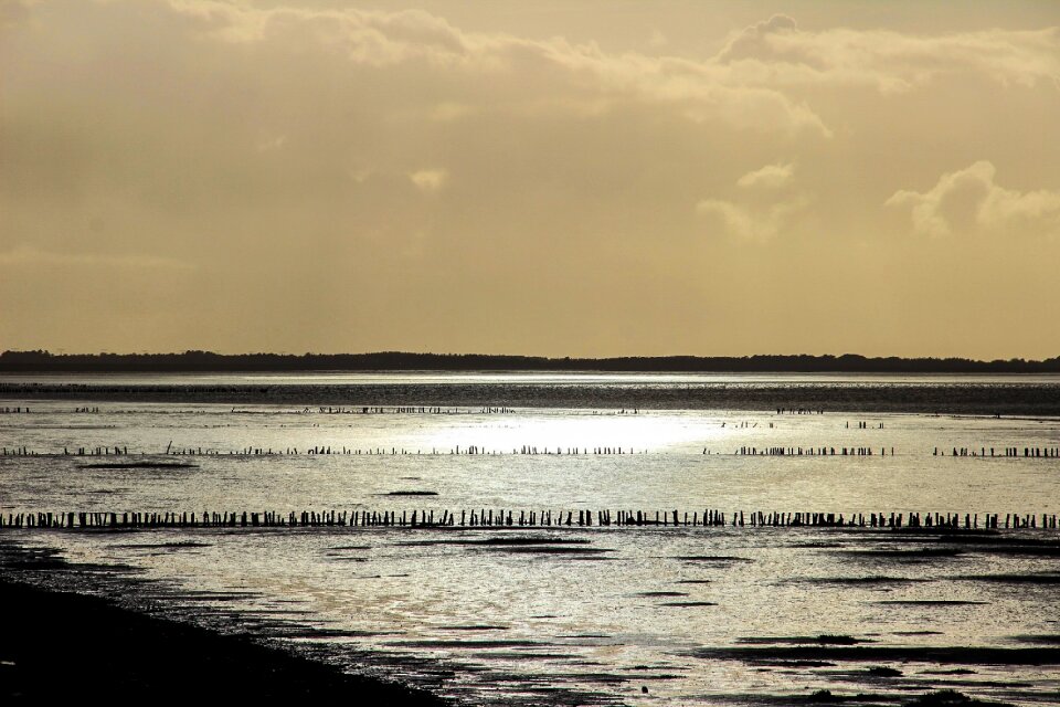 Mood evening sea
