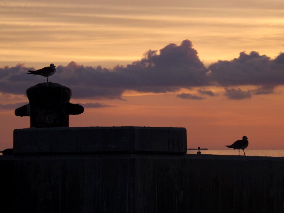 Dawn widescreen key west