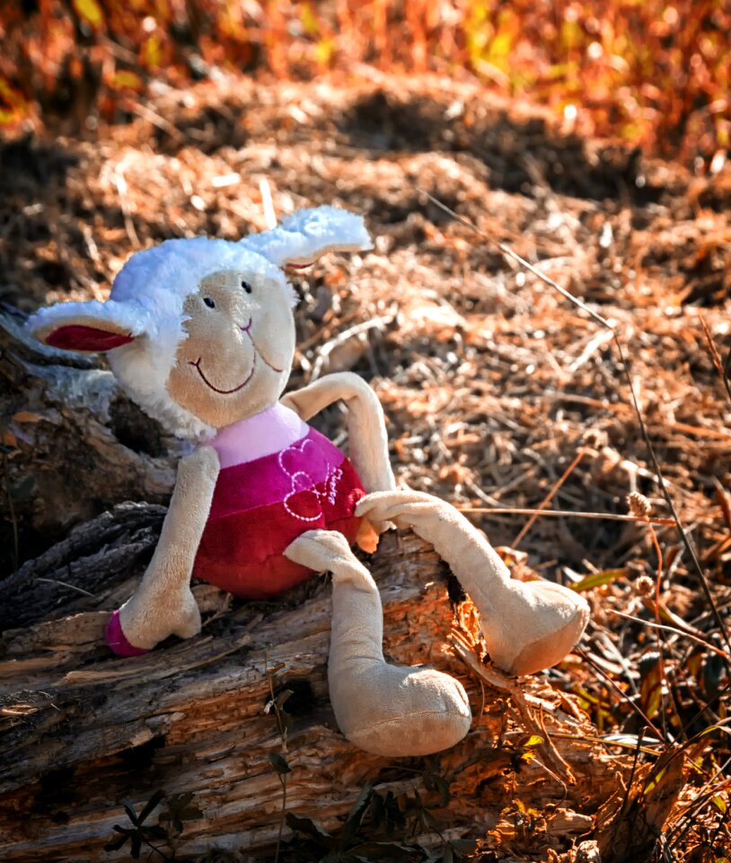 Toys sitting childhood