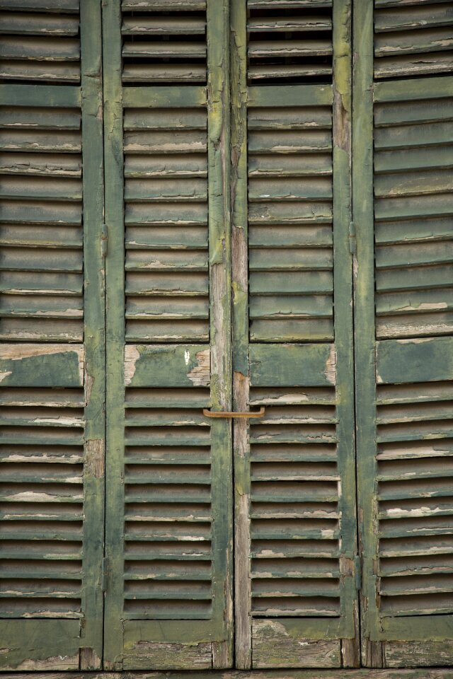 Door window green