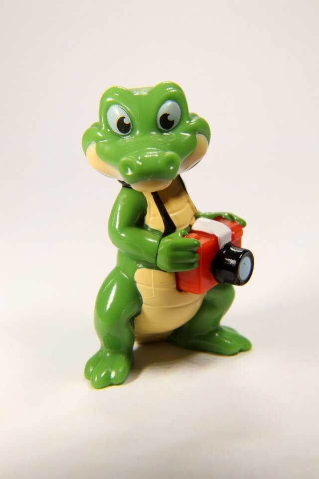 Reptile snapshot alligator