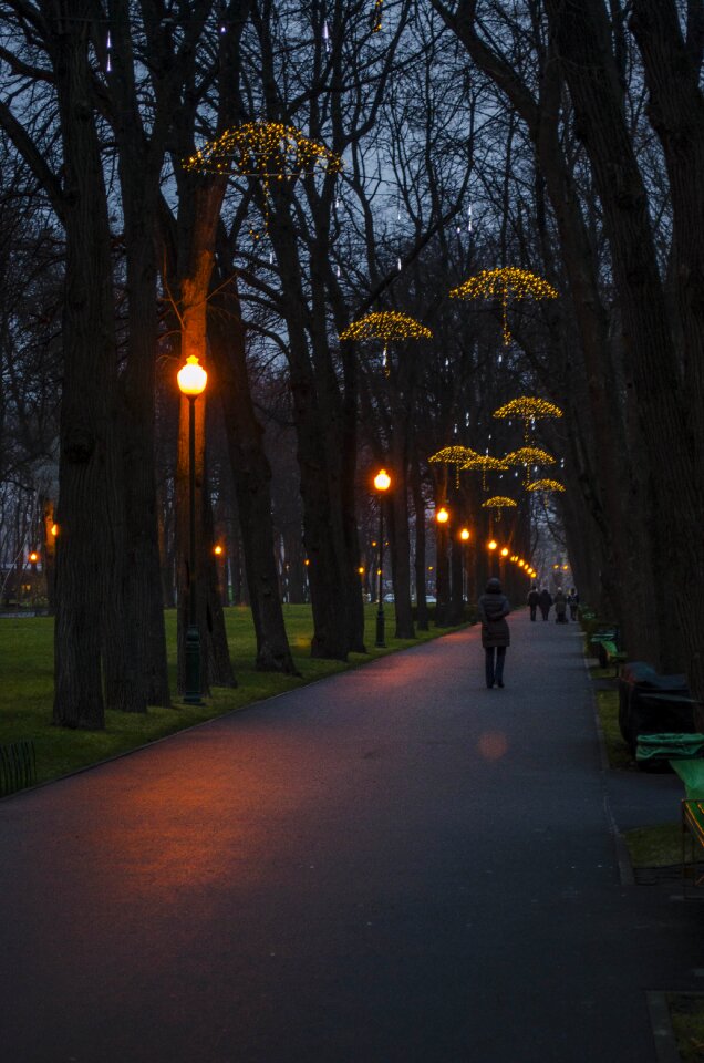 Track lights evening photo