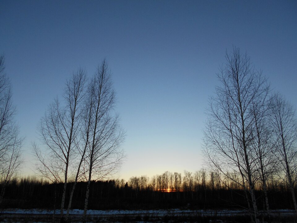 Dawn winter sky