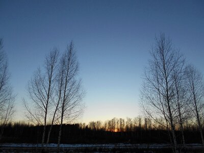 Dawn winter sky photo