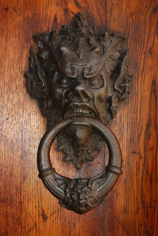 Entrance doors wood metal