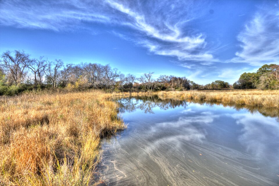 Creek nature landscapes